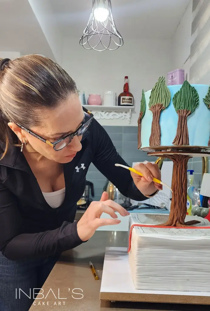 פרויקטים מיוחדים